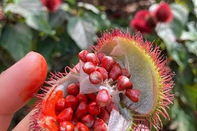 Private Baraka Natural Aquarium Tour; Spice Tour; Prison Island Tour - Price and Booking