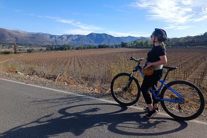Private Bike Tour Through the Elqui Valley - Pricing and Booking