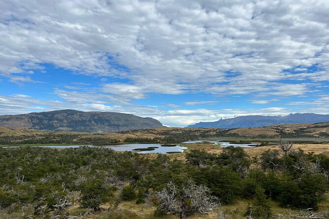 Private Bird Watching Experience in Cerro Castillo - Frequently Asked Questions