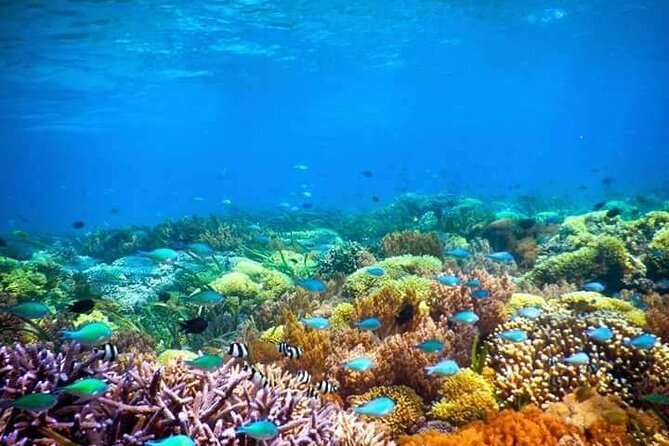 Private Boat Tour at Gili Nanggu, Secret Islands - Pickup Points Information