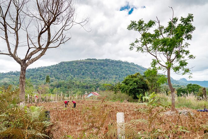 Private Bolaven Plateau Waterfall Trek Tour in Pakse - Free Time and Activities