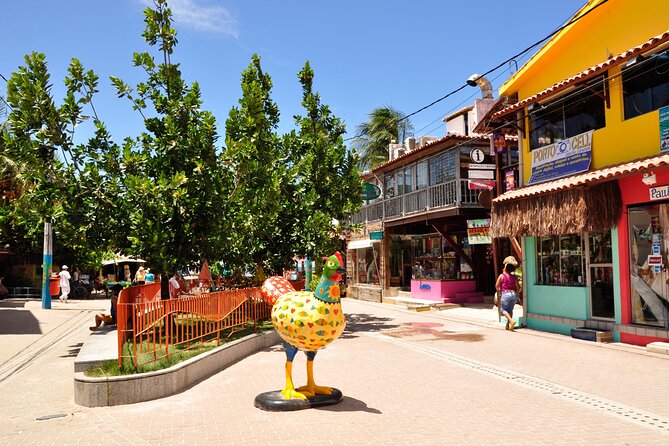 Private Buggy Tour By Porto De Galinhas - Pricing Information