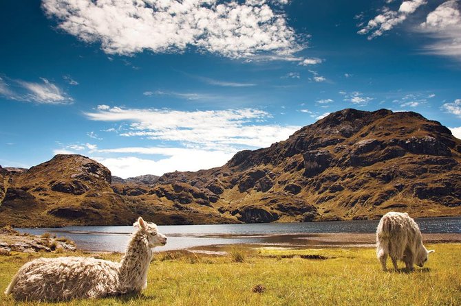 Private Cajas National Park and Cuenca City Tour - The Sum Up