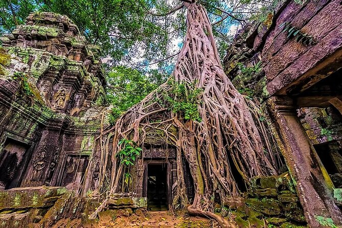 Private Cambodia 7 Day From Siem Reap to Battambang - Phnom Penh - Pricing and Special Offers