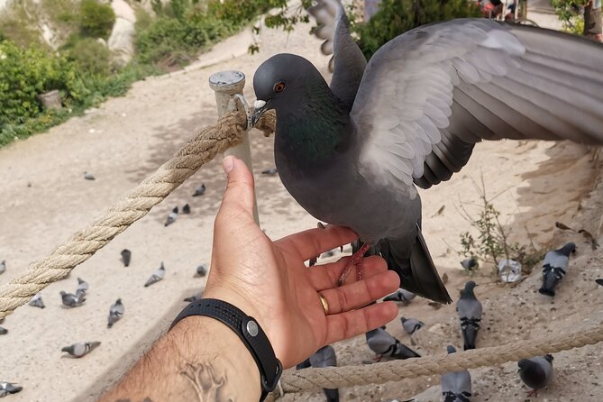 Private Cappadocia and Göbeklitepe, Sanlıurfa Tour From Istanbul - Reviews and Ratings