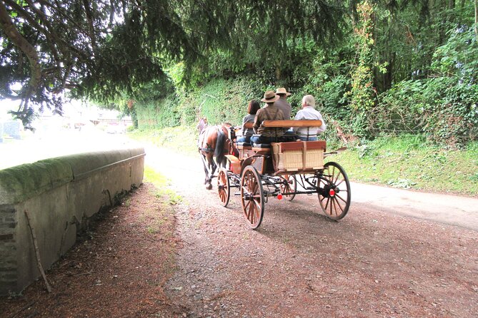 Private Carriage Ride in Saint-Pierre-Azif - Directions and Parking Information