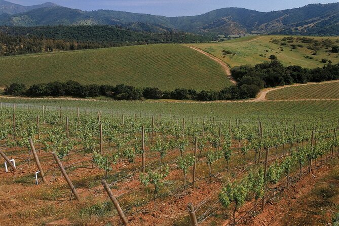 Private Casablanca Valley De Luxe Wine Tour - The Sum Up