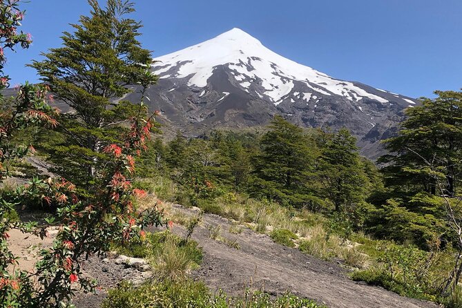 Private Circuit 7 Days of Excursions Los Lagos Region Chile - Pricing and Payment