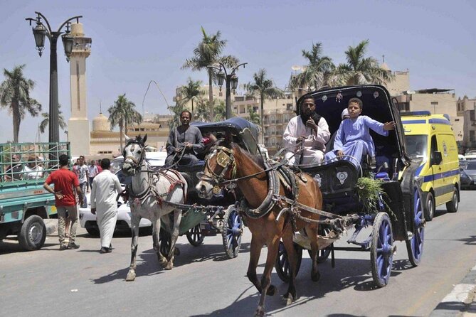 Private City Tour One Hour by Horse Carriage & 1 Hour River Nile Boat Tour-Luxor - Reservation Policy