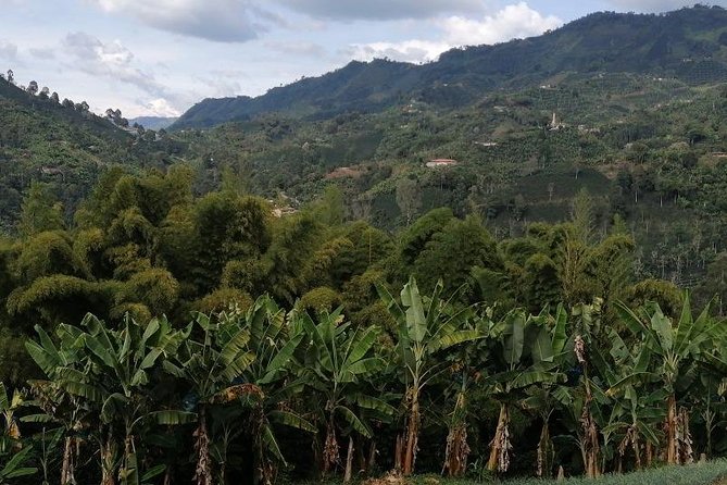 Private Coffee Tour in Jardín Antioquia. - Cancellation Policy