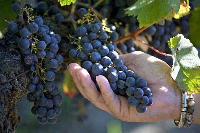 Private Cooking Class and Wine Pairing in a Chateau in Bordeaux - Meeting and Location Details