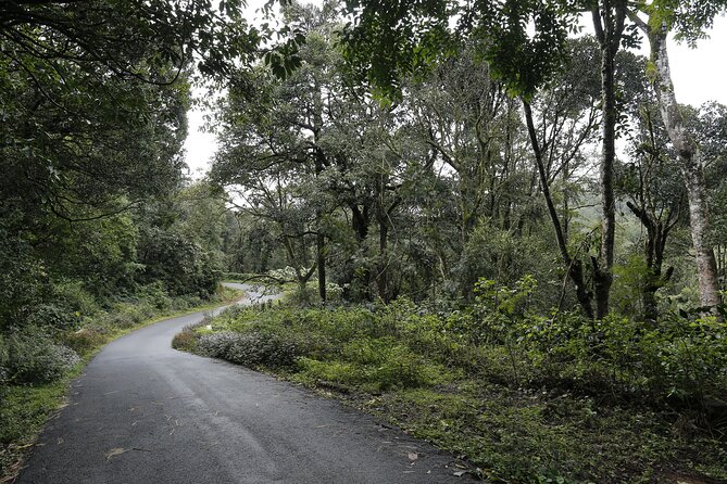 Private Coorg Cycling Tour - Whats Included