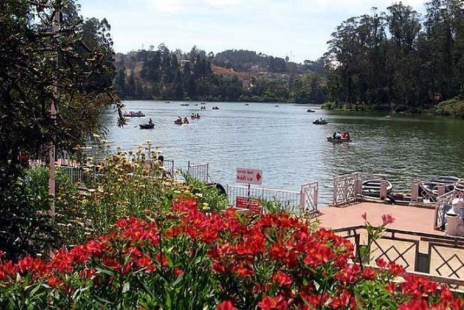 Private Custom Tour: Ooty Sightseeing With Guide - Pickup Logistics