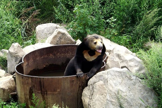 Private Day All-inclusive Tour to Longqingxia Gorge and Badaling Wildlife World - Cancellation Policy