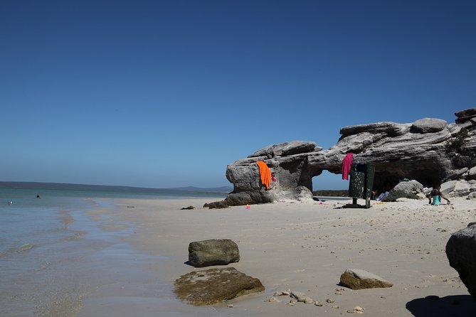 Private Day Tour Along the West Coast Around Cape Town - Booking and Reservation Information