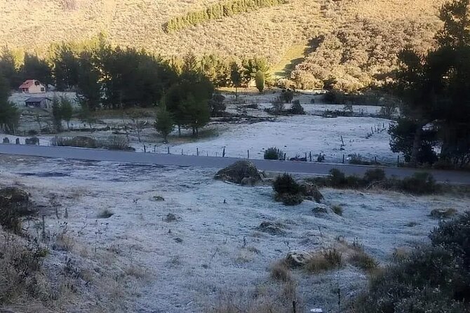 Private Day Tour in Cuenca and Cajas
