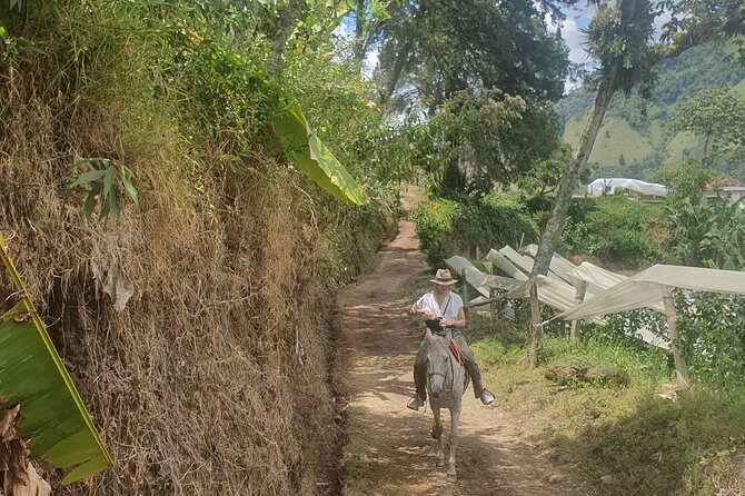 Private Day Tour of Jardín With Horseback Ride and Coffee Villa From Medellin - Additional Details