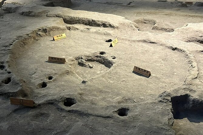Private Day Tour of Xian Terracotta Warriors and Tang Paradise - Cancellation Policy
