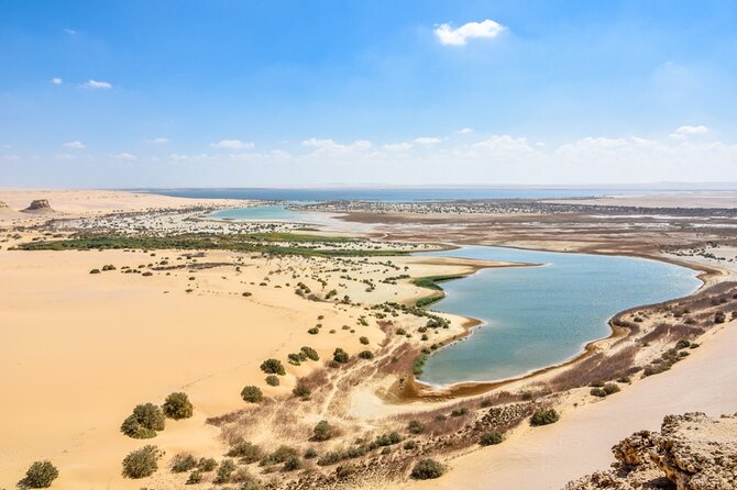 Private Day Tour to Al Faiyum Oasis and Wadi Al Rayan From Cairo - Pricing Details
