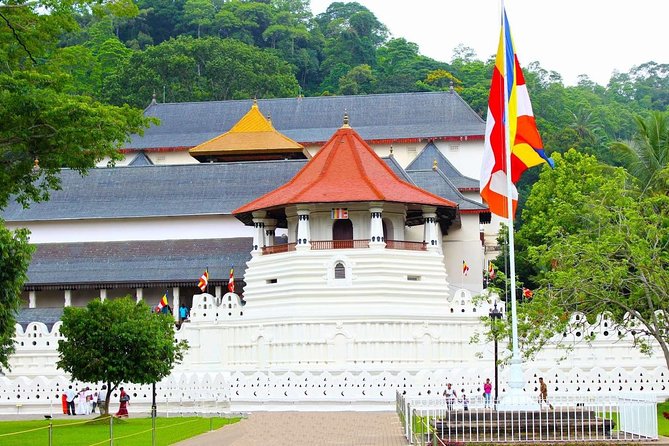 Private Day Tour to Explore Kandy From Colombo Harbor - Cancellation Policy