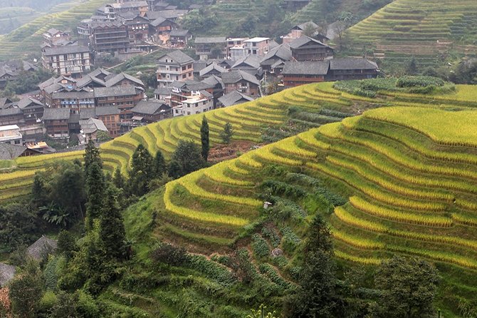 Private Day Tour to Longji Rice Terraces From Guilin - Pricing