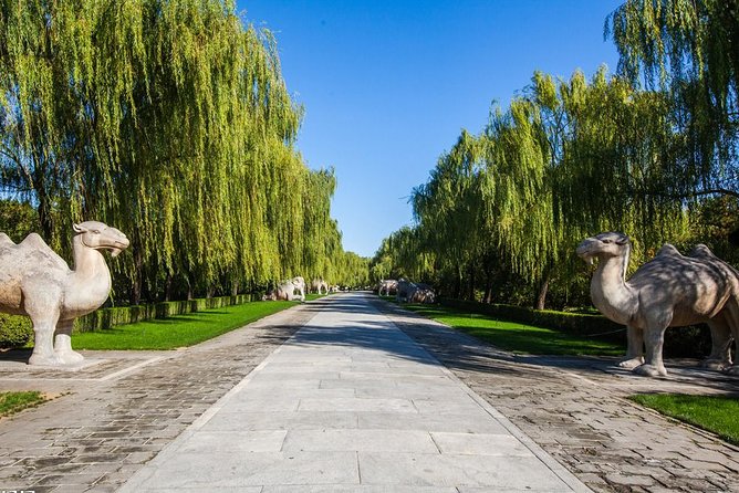 Private Day Tour to Ming Emperors Tombs Ding Tomb, Sacred Path & Chang Tomb - Important Reminders