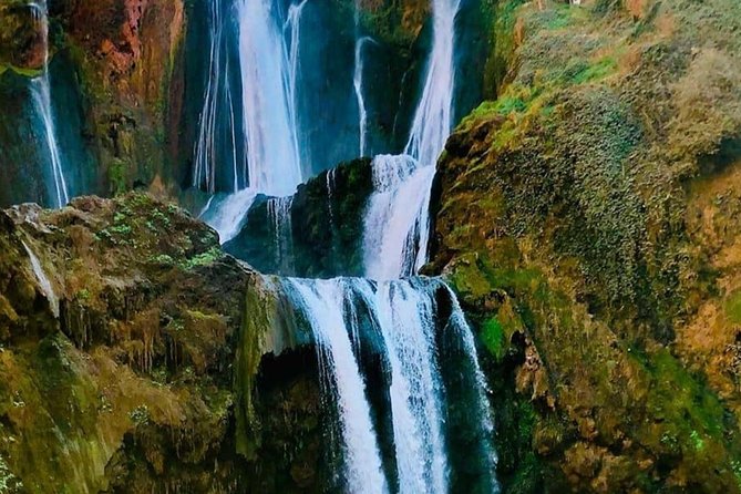 Private Day Tour to Ouzoud Waterfalls From Marrakech - Group Size and Exclusivity