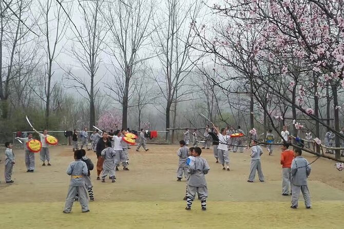 Private Day Tour to Shaolin Temple With Kungfu Class From Zhengzhou - Operator Information