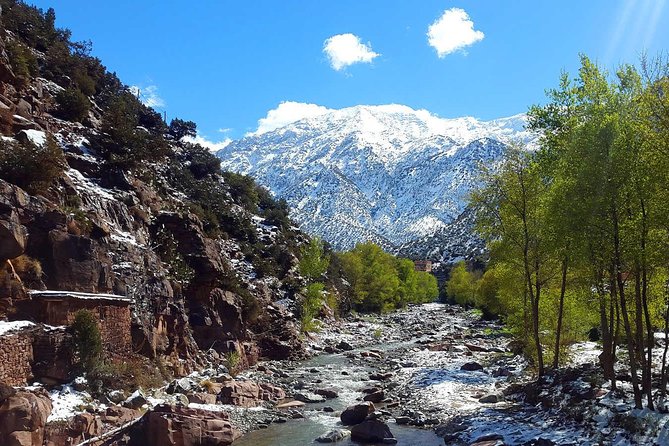 Private Day Trip From Marrakech to Ourika Valley With Lunch - Meeting and Pickup Details