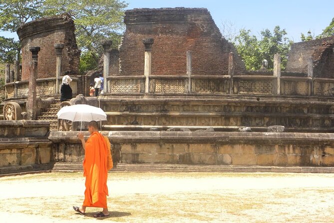 Private Day Trip to Anuradhapura Ancient City From Kandy/Dambulla - Operator Information