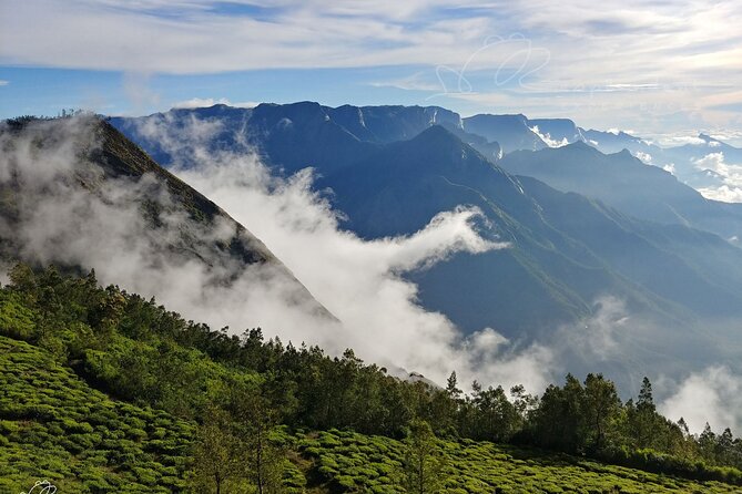 Private Day Trip to Munnar From Kochi (Cochin) - Frequently Asked Questions