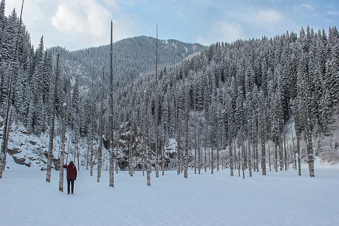 Private DayTour - Pearl Lakes Kolsai & Kaindy (Flooded Forest) via Charyn Canyon - Customer Reviews