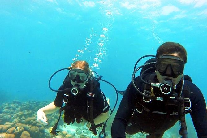 Private Dive Master 1 Tank Dive & Transportation