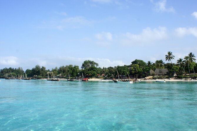 Private Dolphin Watching Experience in Zanzibar - Pickup Points