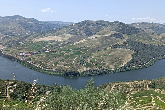 Private Douro Wine Tour - Pricing Details