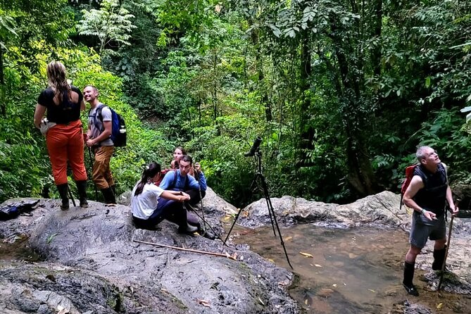 Private Experience Trillo De La Danta Drake Bay Osa Corcovado - Meeting and Pickup