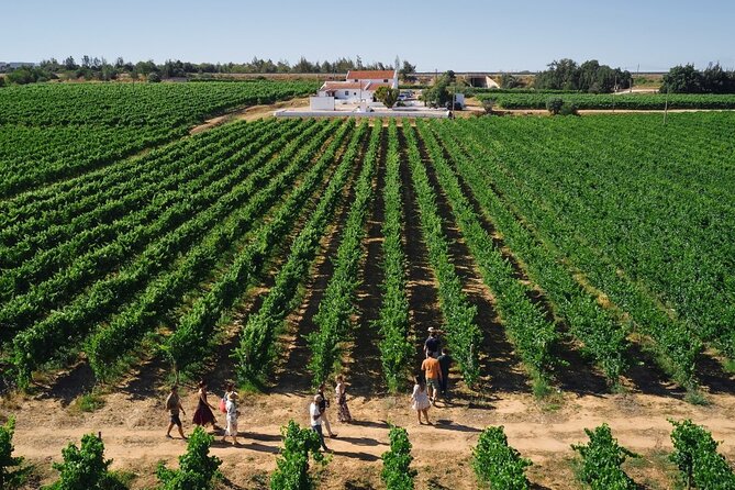 Private Fado Night Show With Wine and Food in Quinta Do Outeiro - Booking Process