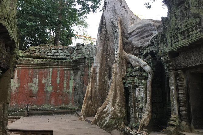 Private Full 3 Days Angkor Sunrise Sunset Tour - The Sum Up