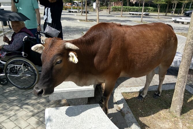 Private Full Day 9-Hour Driving Tour of Lantau From Hong Kong - Secure Booking Option