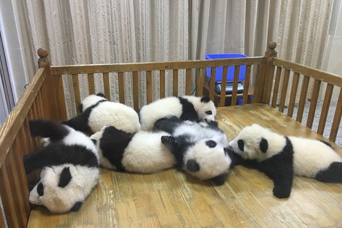 Private Full Day Chengdu Panda Base and Dujiangyan Irrigation System Tour - Booking Information