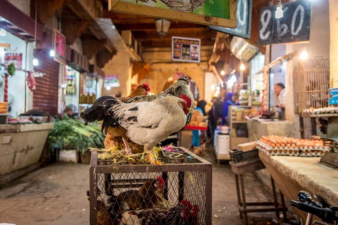 Private Full-Day Fez Sightseeing Tour - Tour Features