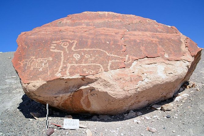 Private Full Day: Majes, Toro Muerto and Dinosaur Footprints. From Arequipa - Transportation