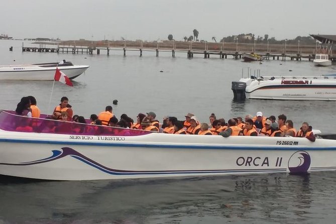 Private Full Day Paracas From Lima - The Sum Up
