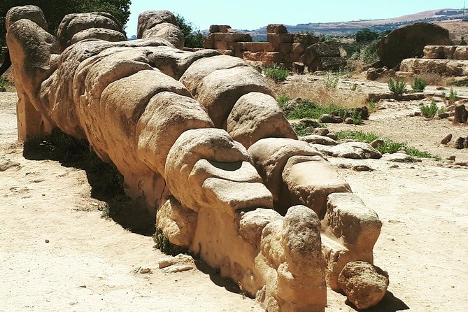 Private Full Day Tour From Siracusa to Valley of the Temples - Accessibility Features