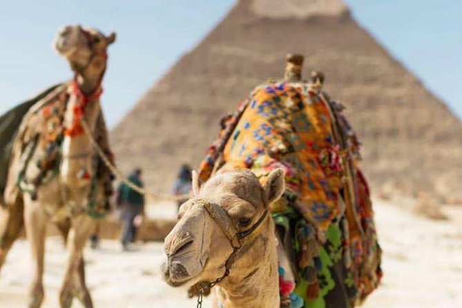 Private Full Day Tour Giza, Sakkara and Memphis - Tour Highlights
