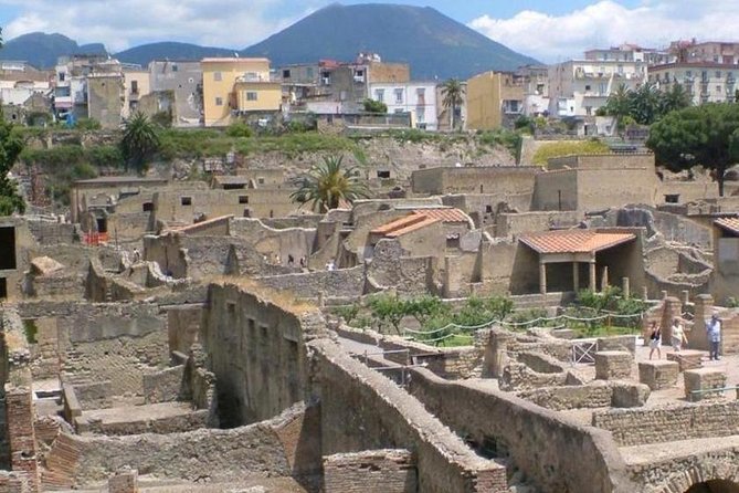 Private Full Day Tour Pompeii Mt Vesuvius and Winery - Price and Booking