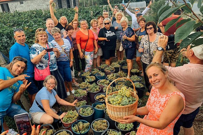Private Full-Day Vintage Grape Harvest Festival With Lunch - Additional Info