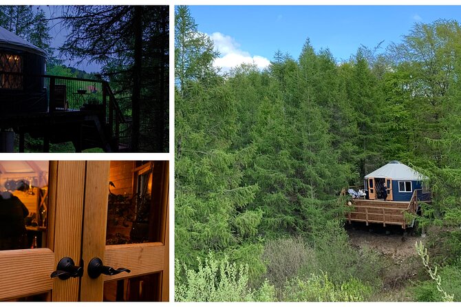 Private Glamping at Forest Tower With Transportation From CPH - Pickup and Start Time