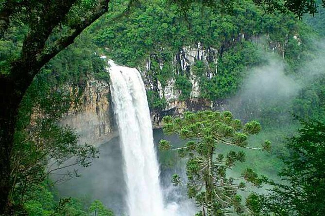 Private Gramado and Canela Day Tour From Porto Alegre - The Sum Up