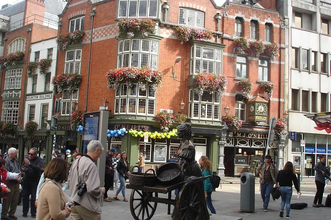Private Guide Dublin City Experience the City With a Veteran Guide - What To Expect